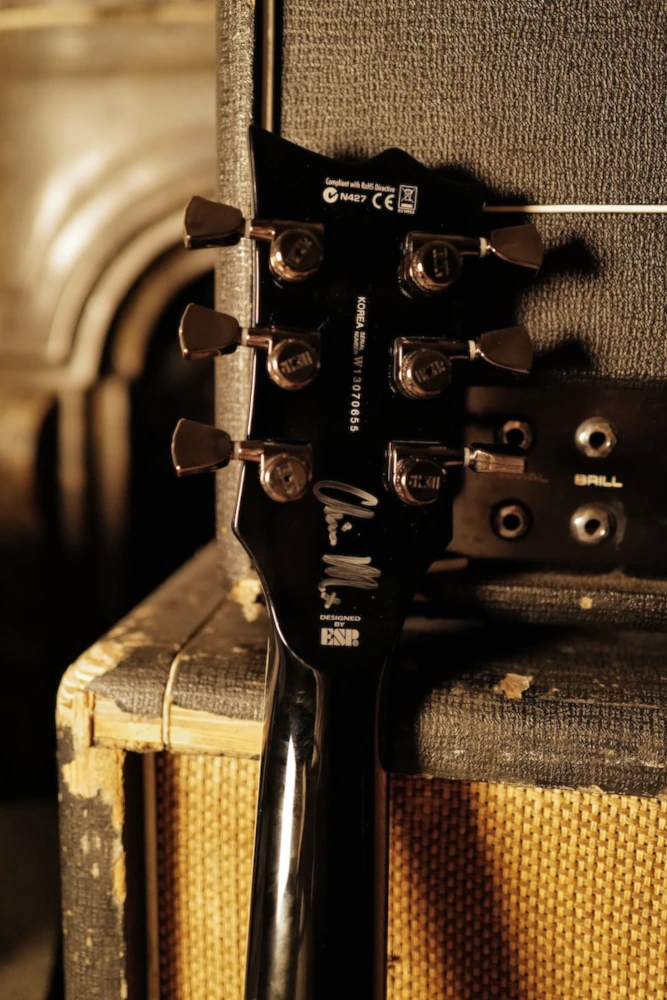 LTD Viper 1000 Deluxe ex Chino Moreno - Deftones – Image 4