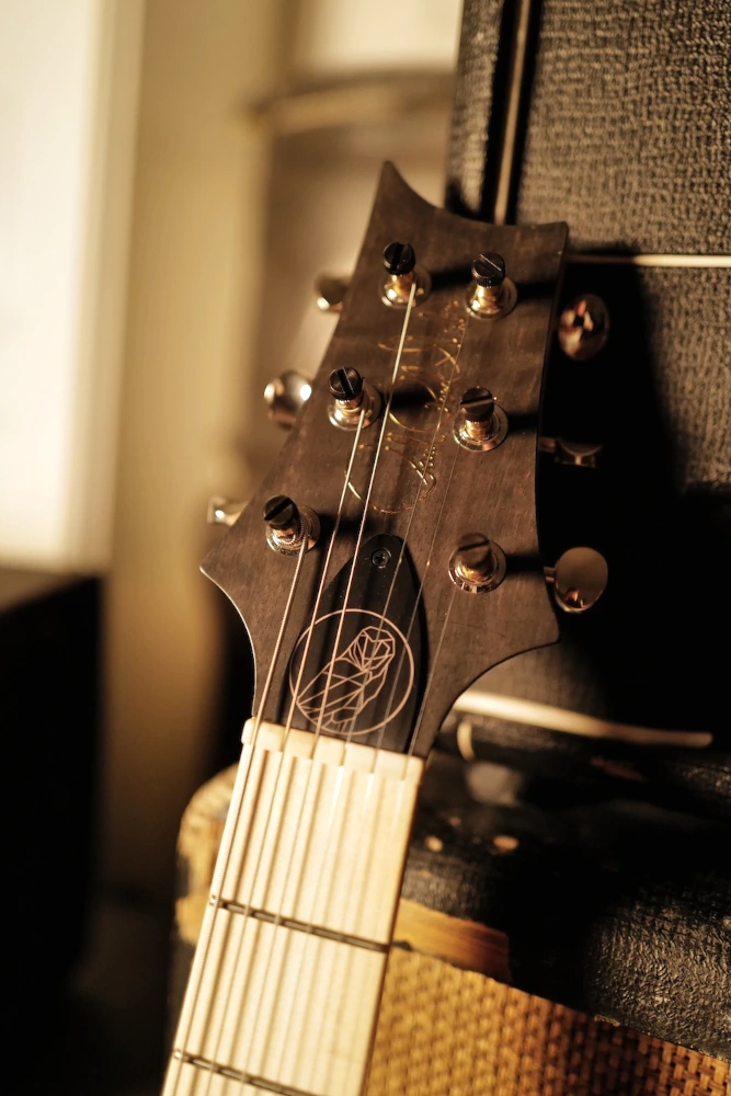 PRS Myles Kennedy Signature Ex Myles Kennedy – Image 4