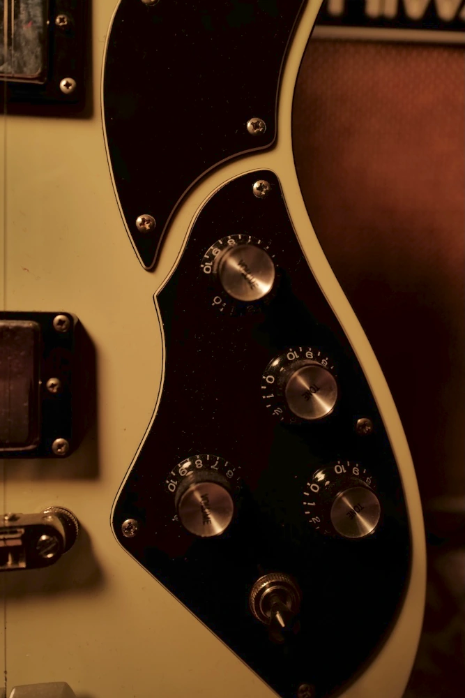 Schecter Diamond series 006 special ex The Cure – Image 4