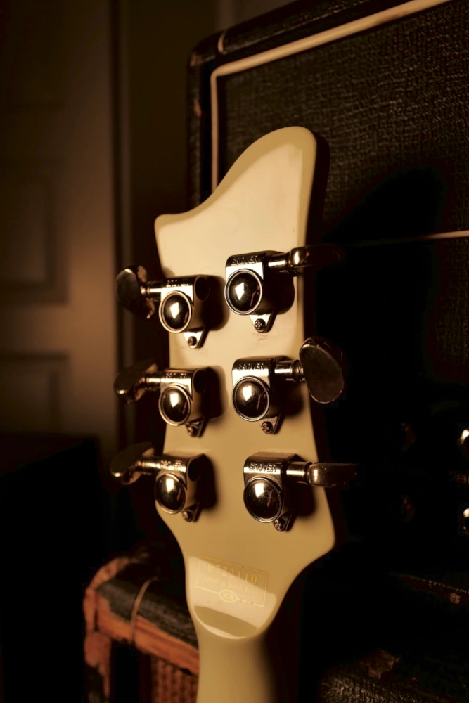 Schecter Diamond series 006 special ex The Cure – Image 7