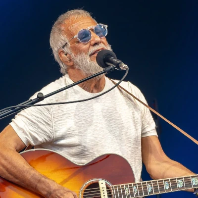 Cat Stevens Biografie