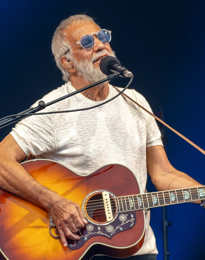 Cat Stevens Biografie