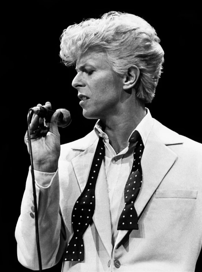 Biografie van David Bowie