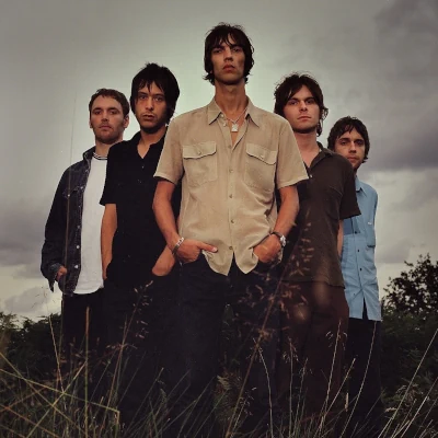 Biografie van The Verve